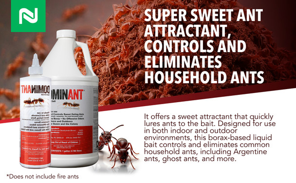 Nisus DominAnt Liquid Ant Bait, Borax-Based Eliminator, 16 oz