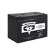 Pro Series 12-Volt 100-Amp Hour Maintenance Free AGM Standby Battery