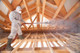Nisus Pro-Shield Insulation