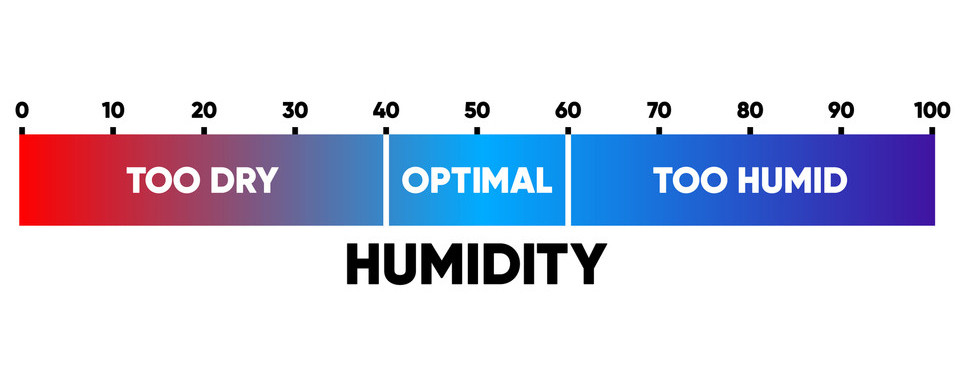 Effective Strategies to Lower Humidity in Crawl Spaces Effective Strategies to Lower Humidity in Crawl Spaces