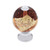 JVJ Hardware - Cabinet Knob - Polished Chrome - 49326