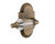 Nostalgic Warehouse - Cottage Plate Single Dummy Parlor Lever in Antique Brass - COTPRL - 714171