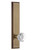 Grandeur Hardware - Hardware Carre' Tall Plate Privacy with Chambord Knob in Vintage Brass - CARCHM - 815342