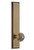 Grandeur Hardware - Hardware Carre' Tall Plate Double Dummy with Windsor Knob in Vintage Brass - CARWIN - 803608