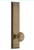 Grandeur Hardware - Hardware Fifth Avenue Tall Plate Passage with Circulaire Knob in Vintage Brass - FAVCIR - 835935