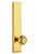 Grandeur Hardware - Hardware Fifth Avenue Tall Plate Dummy with Parthenon Knob in Lifetime Brass - FAVPAR - 802999