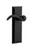 Ageless Iron Keep Plate Single Dummy with Tine Lever in Black Iron - KEPTIN