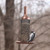 Good Directions - Vineyard Select Mesh Bird Feeder - BF113