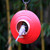 Good Directions - Mojave Fly Thru  Bird Feeder, Copper Accents, Multiple Perches - BF116R