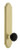 Grandeur Hardware - Arc Tall Plate Single with Dummy Coventry Knob in Satin Brass - ATPCOV - 878345