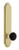 Grandeur Hardware - Arc Tall Plate Double Dummy with Coventry Knob in Satin Brass - ATPCOV - 878418