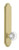 Grandeur Hardware - Arc Tall Plate Privacy with Bordeaux Knob in Satin Brass - ATPBOR - 878491