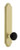 Grandeur Hardware - Arc Tall Plate Privacy with Coventry Knob in Satin Brass - ATPCOV - 878542