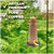 Good Directions - BF306VB Copper Lighthouse Bird Feeder - Featuring Brass Accents - BF306VB