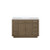 Lexora - Abbey 48" W x 22" D Grey Oak Single Bath Vanity and White Quartz Top - LVA48SR200