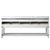 Lexora - Norwalk 84" W x 22" D White Oak Double Bath Vanity and Carrara Marble Top - LVN84DM100