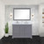 Lexora - Dukes 48" W x 22" D Dark Grey Double Bath Vanity and White Quartz Top - LD342248DBWQ000