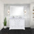 Lexora - Dukes 48" W x 22" D White Double Bath Vanity and Cultured Marble Top - LVD48DA300