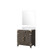 Lexora - Geneva 24" W x 22" D Dark Grey Bath Vanity and Cultured Marble Top - LVG24SB300