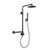 Pulse ShowerSpas - Atlantis Assist Bar - 1059-AB-ORB - Oil Rubbed Bronze