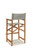 Hi Teak Furniture Director Counter Height Chair - HLAC1807CH