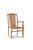 Hi Teak Furniture Paficica Stacking Armchair - HLAC375