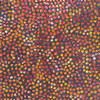 Eileen Bird Kngwarreye - MB059381