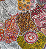 Janet Golder Kngwarreye - MB063061