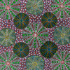 Lily Lion Kngwarreye - SP11504
