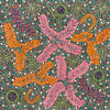 Nakita Inkamala - SP11493