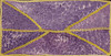 Mary Morton Kemarre - MB037175