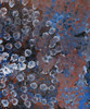 Emily Kame Kngwarreye - MB001909