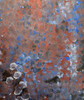 Emily Kame Kngwarreye - MB001909