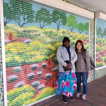 Selina Teece Pwerle - Roller Shutter Art Project Selina Teece Pwerle - Roller Shutter Art Project