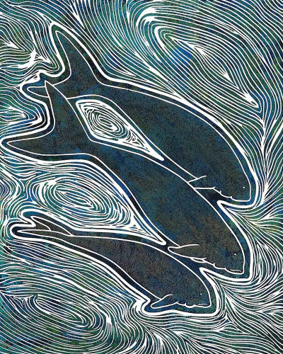 North Queensland Artists