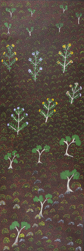 Colleen Morton Kngwarreye - MB062523