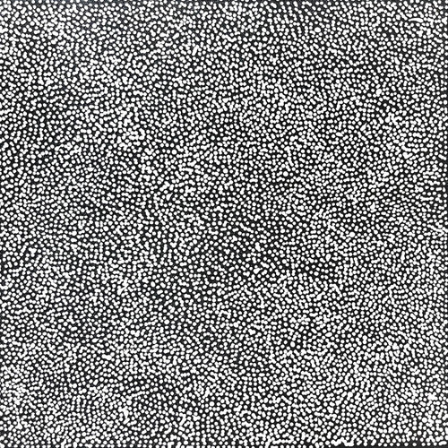 Lizzie Moss Pwerle - sp11288