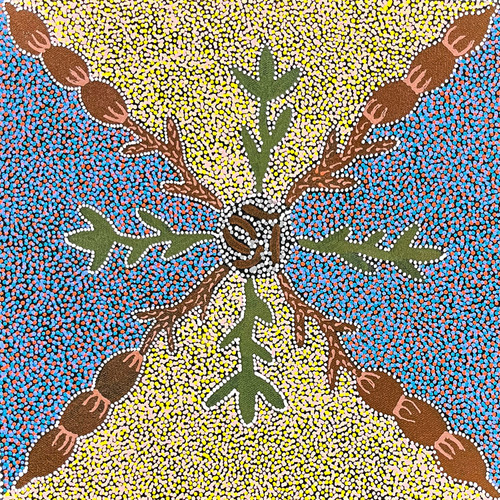 Bronwyn Payne Ngale - sp11296
