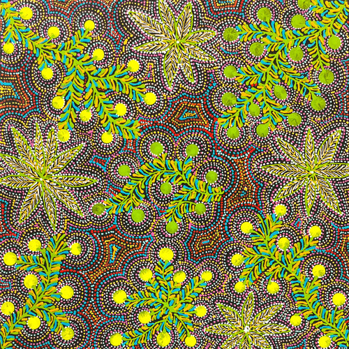 Jessie Hunter Petyarre - sp11430