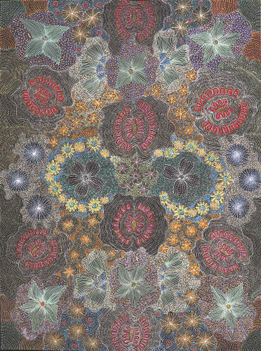 Susan Hunter Petyarre - MB063028