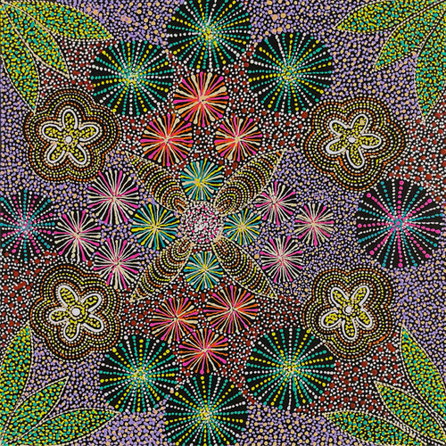 Susan Hunter Petyarre - SP11471