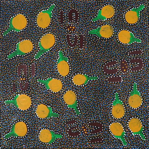 Shirley Dixon Kemarre - MB063159
