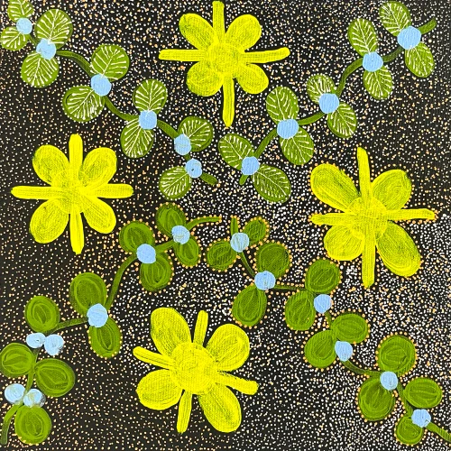 Colleen Morton Kngwarreye - SP11564