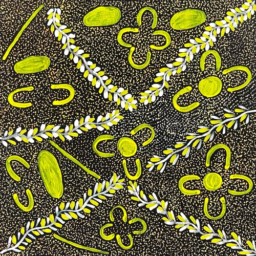 Colleen Morton Kngwarreye - SP11566