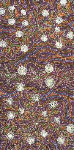 Jessie Hunter Petyarre - MB063304