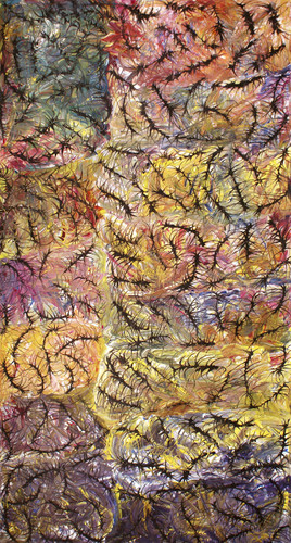 Janelle Stockman Napaltjarri - MB037381