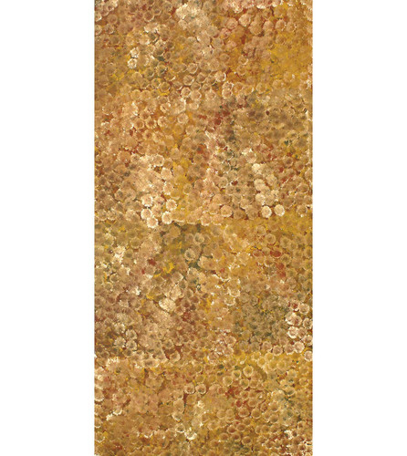 Emily Kame Kngwarreye - MB009069