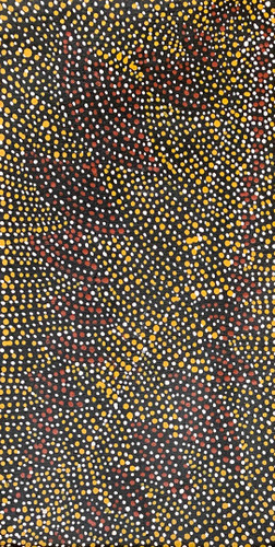 Nancy Kunoth Petyarre - MB009787