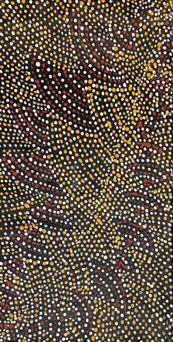 Nancy Kunoth Petyarre - MB009789