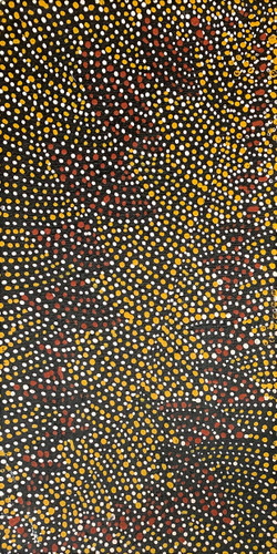Nancy Kunoth Petyarre - MB009832